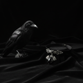 Extra Premium Pick - Gothic Bundle Add-On with Raven